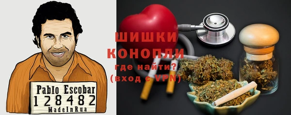 прущие грибы Балахна