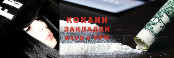 прущие грибы Балахна