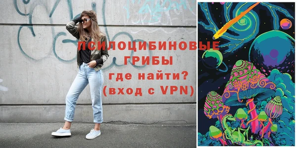 бошки Арсеньев