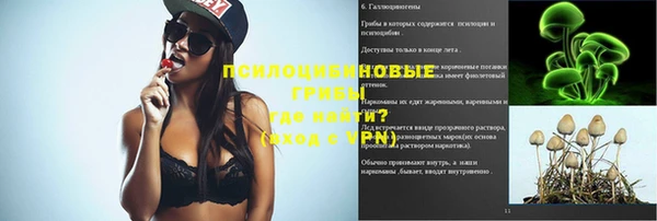 молекула духа Аркадак