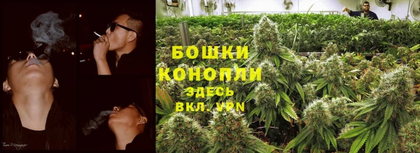 бошки Арсеньев