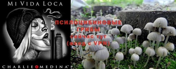 молекула духа Аркадак