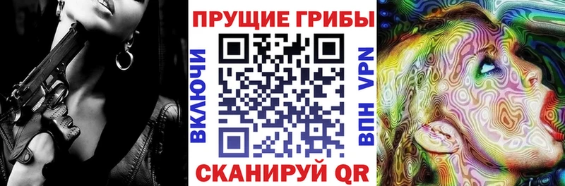 купить   Пролетарск  Галлюциногенные грибы Psilocybe 